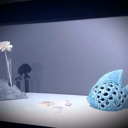 La Casa Del Pesciolino - The Little Fish House